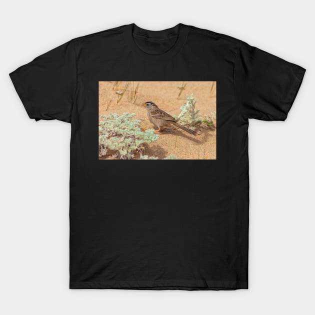 Foraging T-Shirt by jvnimages